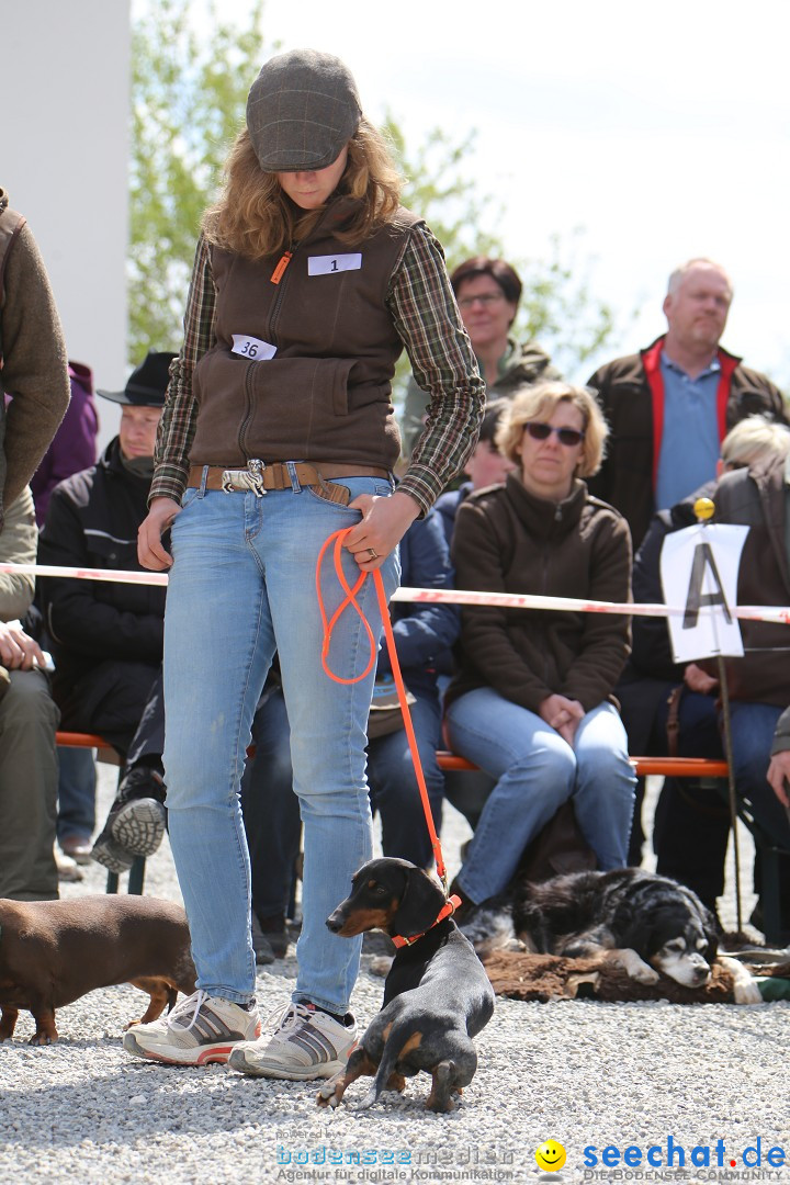 Jagdhundetag Dornsberg der Landesjagdschule: Eigeltingen, 23.04.2017