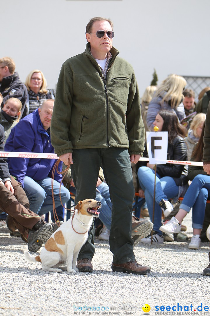 Jagdhundetag Dornsberg der Landesjagdschule: Eigeltingen, 23.04.2017