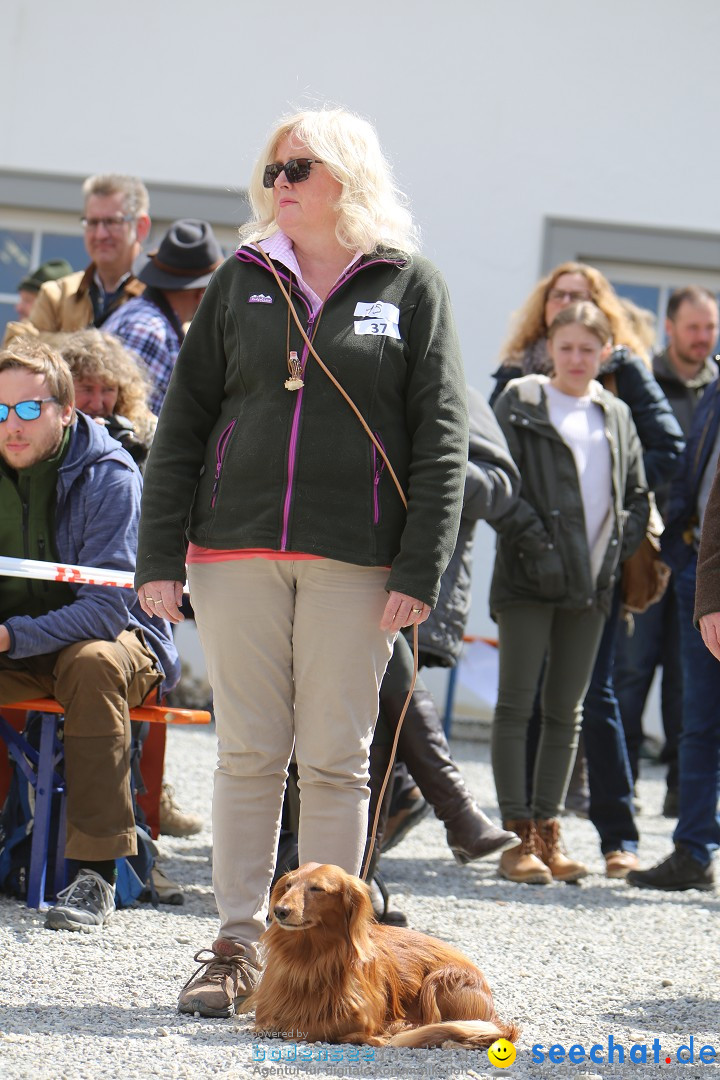 Jagdhundetag Dornsberg der Landesjagdschule: Eigeltingen, 23.04.2017