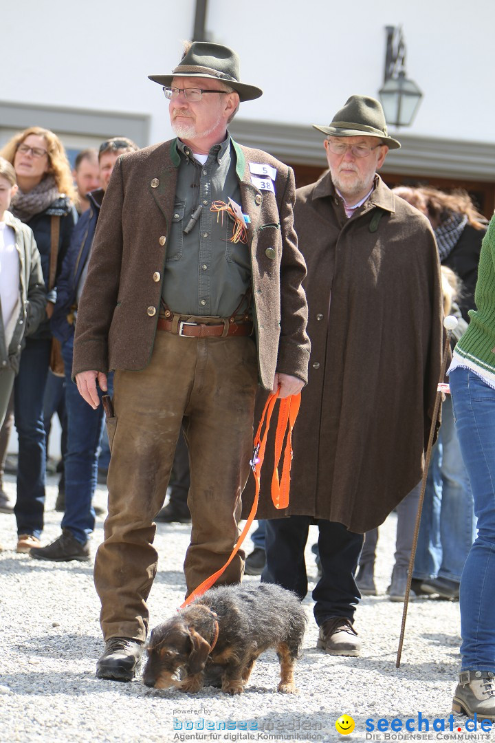 Jagdhundetag Dornsberg der Landesjagdschule: Eigeltingen, 23.04.2017