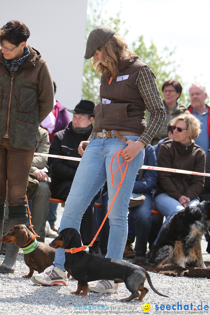 Jagdhundetag Dornsberg der Landesjagdschule: Eigeltingen, 23.04.2017