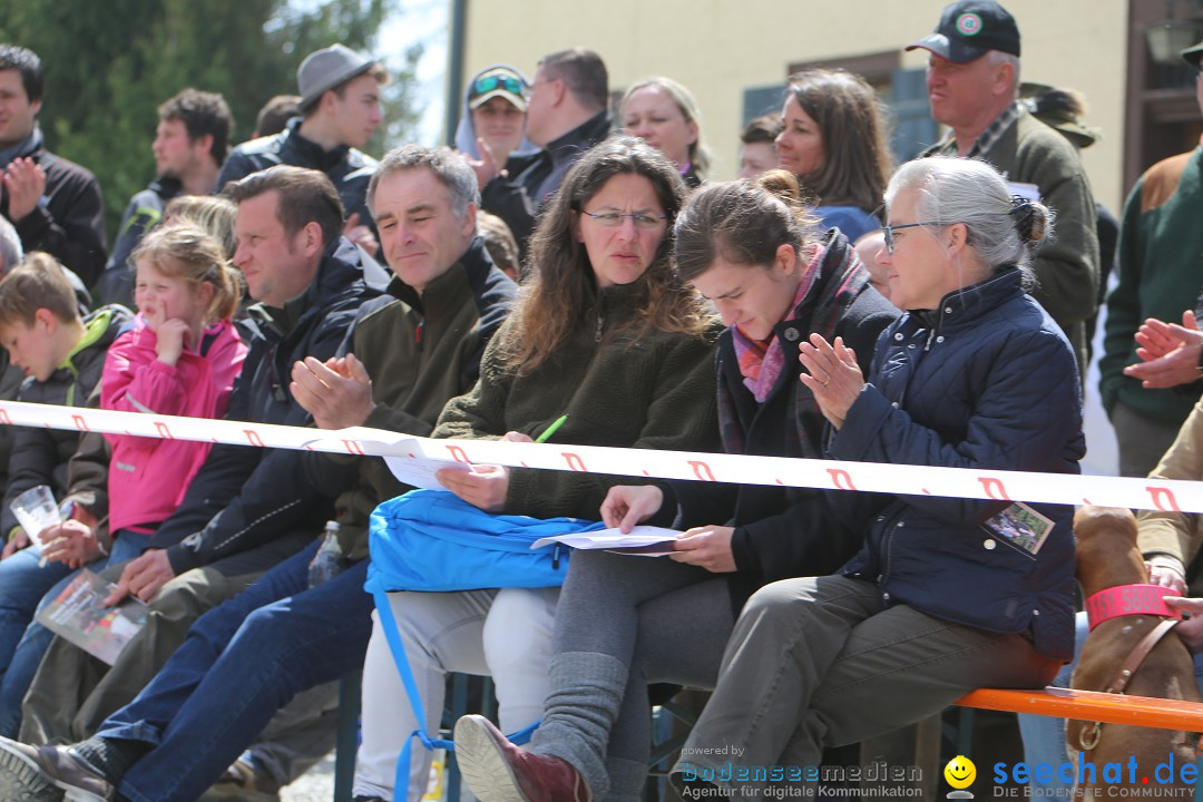 Jagdhundetag Dornsberg der Landesjagdschule: Eigeltingen, 23.04.2017