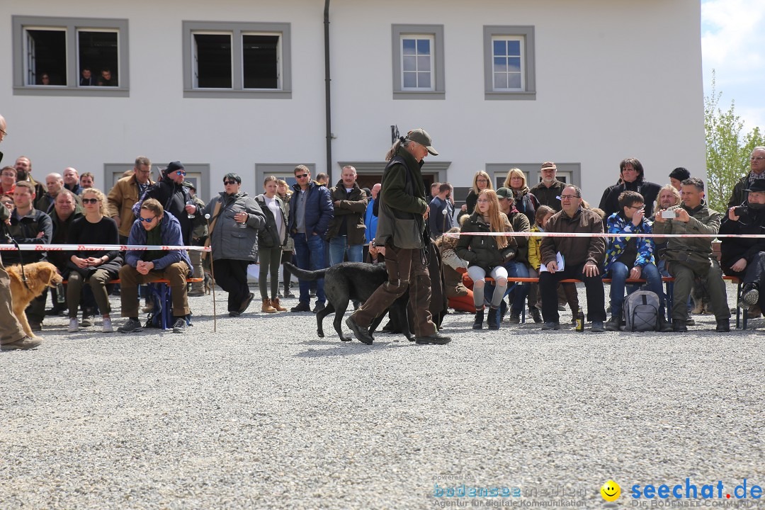 Jagdhundetag Dornsberg der Landesjagdschule: Eigeltingen, 23.04.2017