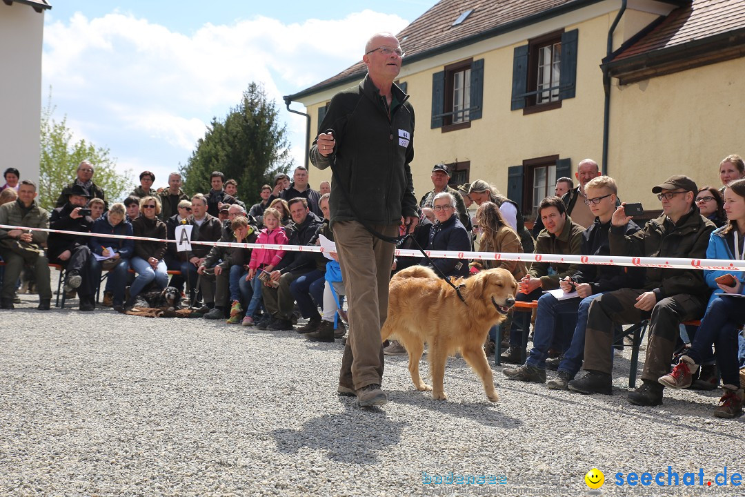 Jagdhundetag Dornsberg der Landesjagdschule: Eigeltingen, 23.04.2017