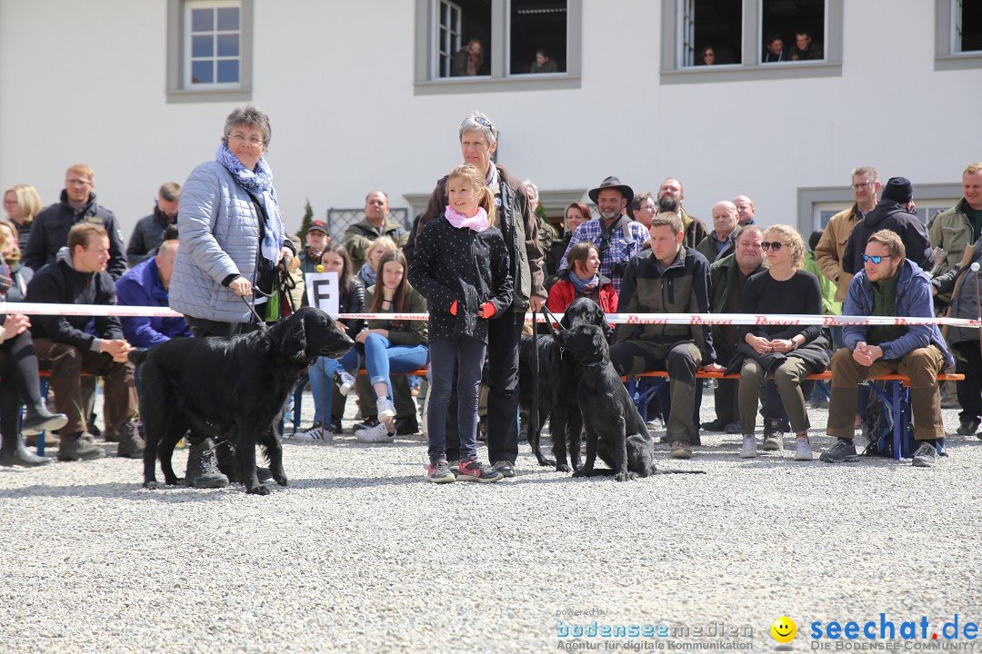 Jagdhundetag Dornsberg der Landesjagdschule: Eigeltingen, 23.04.2017