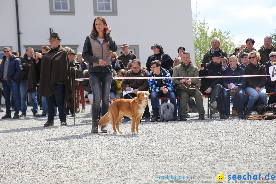 Jagdhundetag Dornsberg der Landesjagdschule: Eigeltingen, 23.04.2017