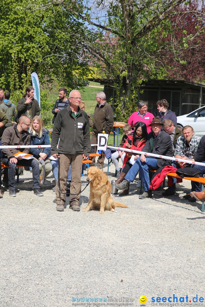 Jagdhundetag Dornsberg der Landesjagdschule: Eigeltingen, 23.04.2017