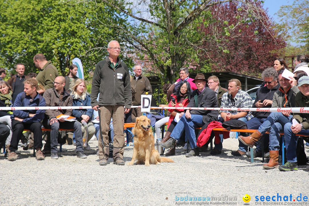 Jagdhundetag Dornsberg der Landesjagdschule: Eigeltingen, 23.04.2017