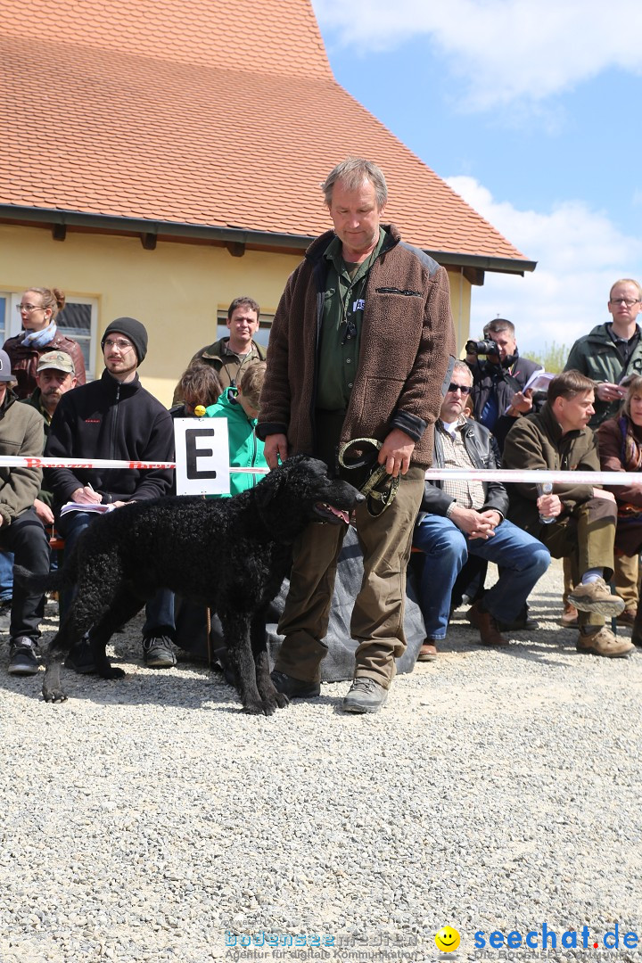 Jagdhundetag Dornsberg der Landesjagdschule: Eigeltingen, 23.04.2017