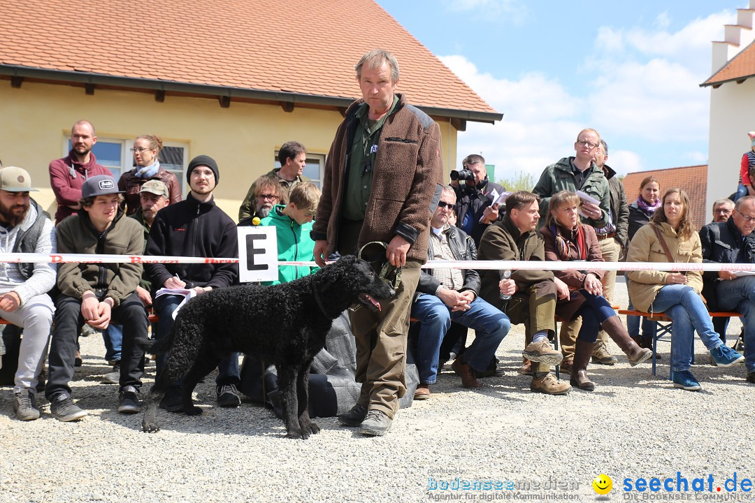 Jagdhundetag Dornsberg der Landesjagdschule: Eigeltingen, 23.04.2017