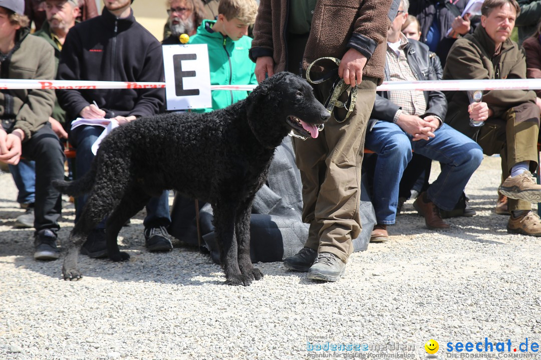 Jagdhundetag Dornsberg der Landesjagdschule: Eigeltingen, 23.04.2017