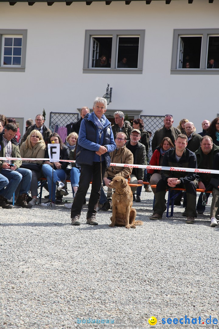 Jagdhundetag Dornsberg der Landesjagdschule: Eigeltingen, 23.04.2017