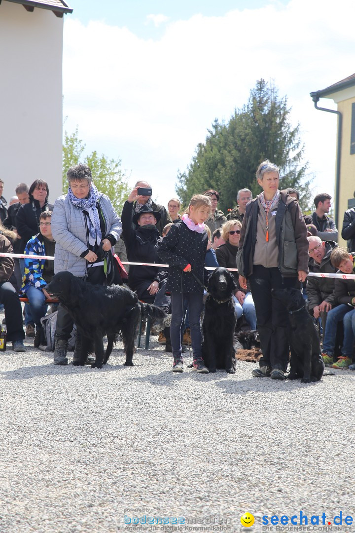 Jagdhundetag Dornsberg der Landesjagdschule: Eigeltingen, 23.04.2017