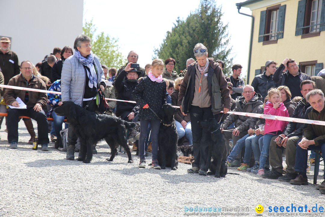 Jagdhundetag Dornsberg der Landesjagdschule: Eigeltingen, 23.04.2017