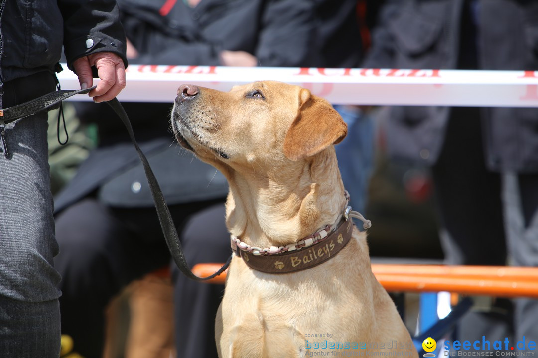 Jagdhundetag Dornsberg der Landesjagdschule: Eigeltingen, 23.04.2017