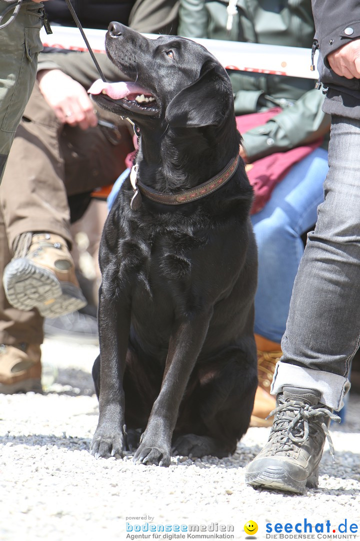 Jagdhundetag Dornsberg der Landesjagdschule: Eigeltingen, 23.04.2017