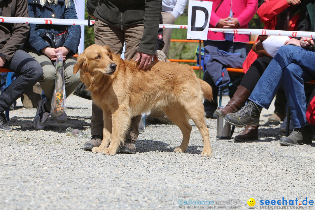 Jagdhundetag Dornsberg der Landesjagdschule: Eigeltingen, 23.04.2017