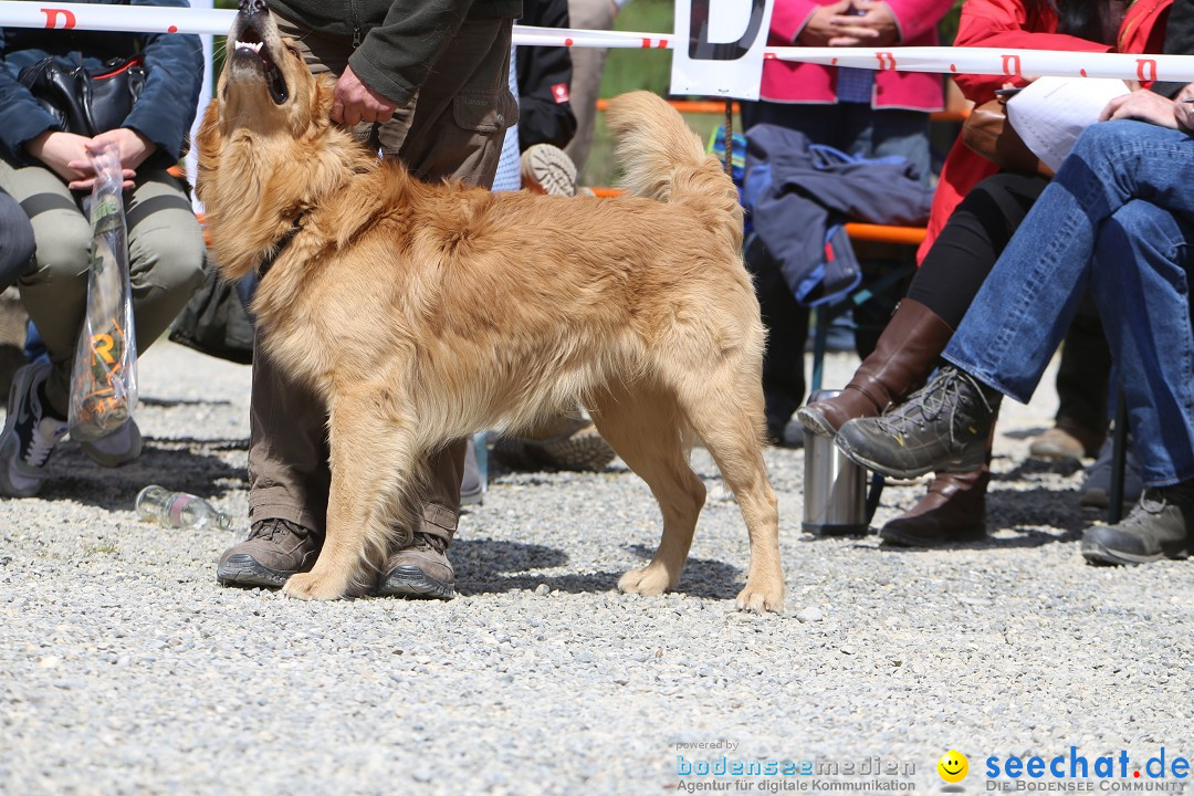 Jagdhundetag Dornsberg der Landesjagdschule: Eigeltingen, 23.04.2017