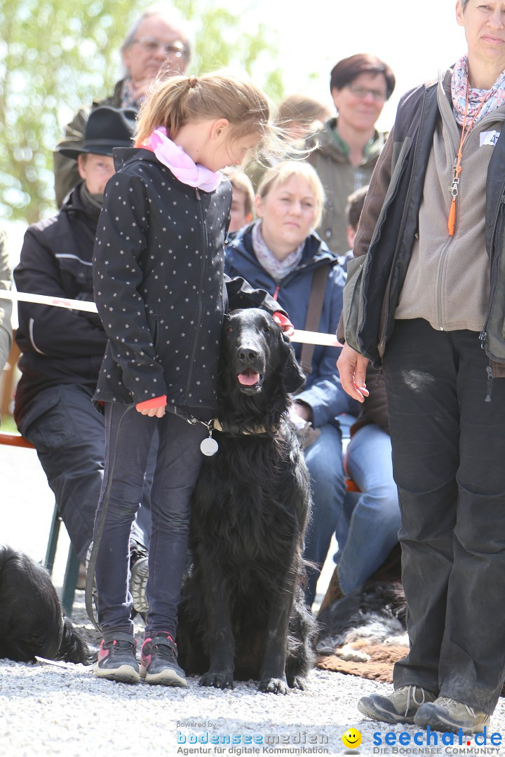 Jagdhundetag Dornsberg der Landesjagdschule: Eigeltingen, 23.04.2017