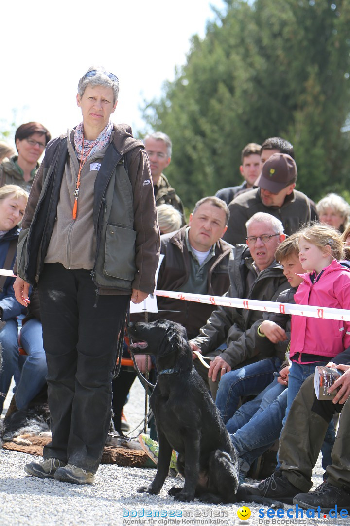 Jagdhundetag Dornsberg der Landesjagdschule: Eigeltingen, 23.04.2017