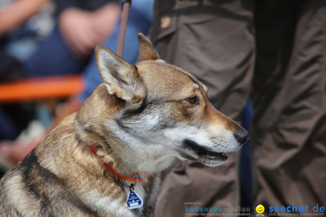 Jagdhundetag Dornsberg der Landesjagdschule: Eigeltingen, 23.04.2017