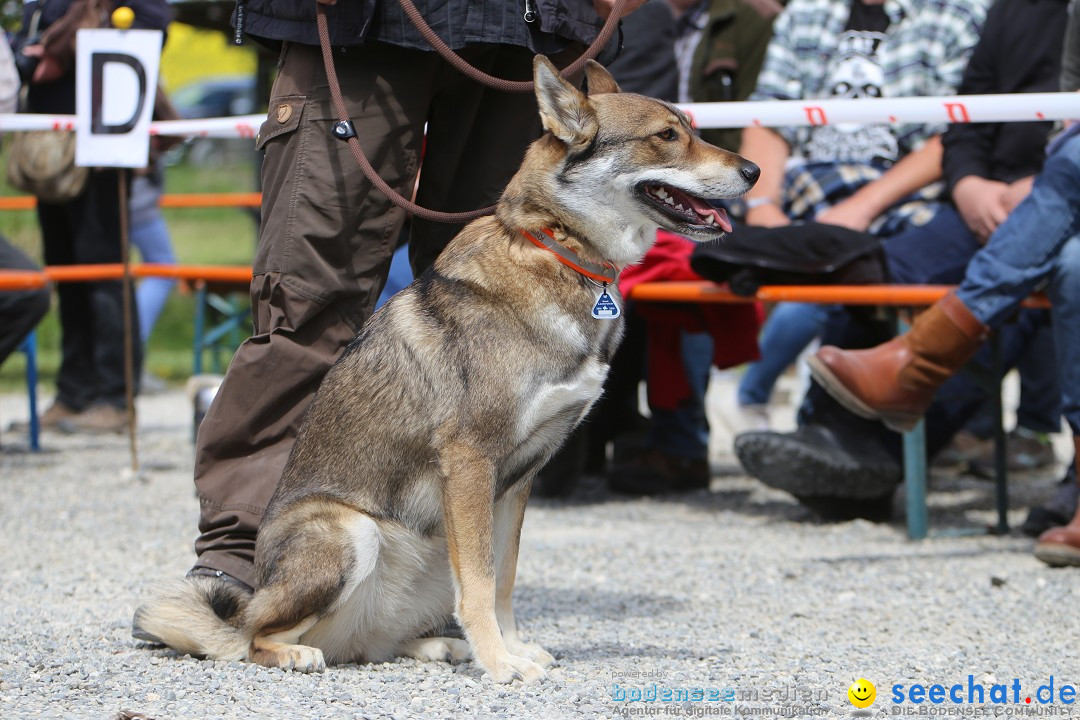 Jagdhundetag Dornsberg der Landesjagdschule: Eigeltingen, 23.04.2017