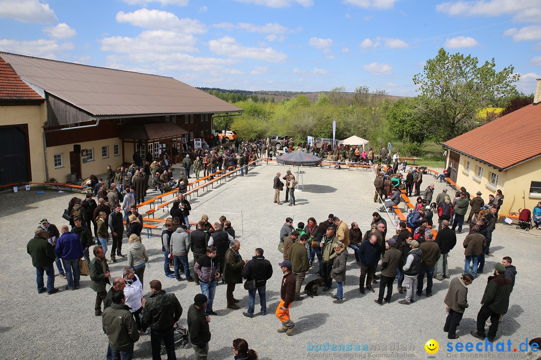 Jagdhundetag Dornsberg der Landesjagdschule: Eigeltingen, 23.04.2017