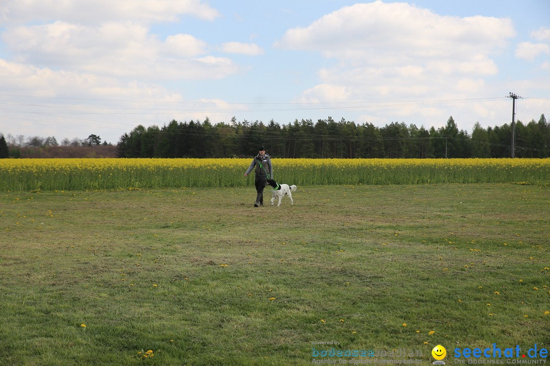 Jagdhundetag Dornsberg der Landesjagdschule: Eigeltingen, 23.04.2017