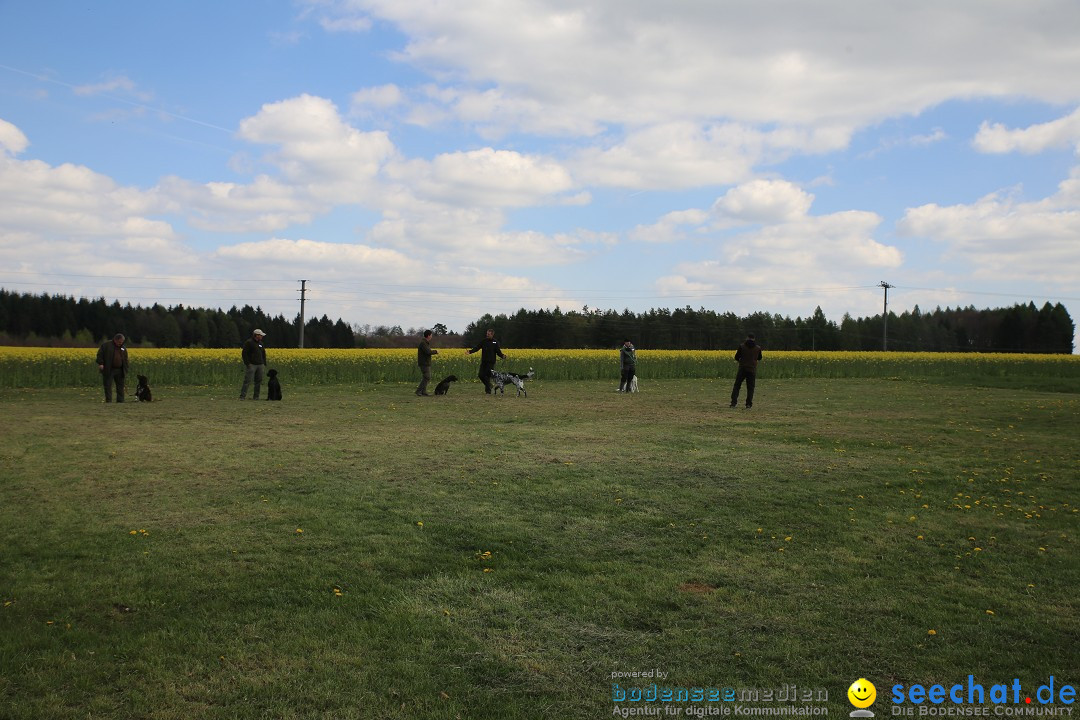 Jagdhundetag Dornsberg der Landesjagdschule: Eigeltingen, 23.04.2017