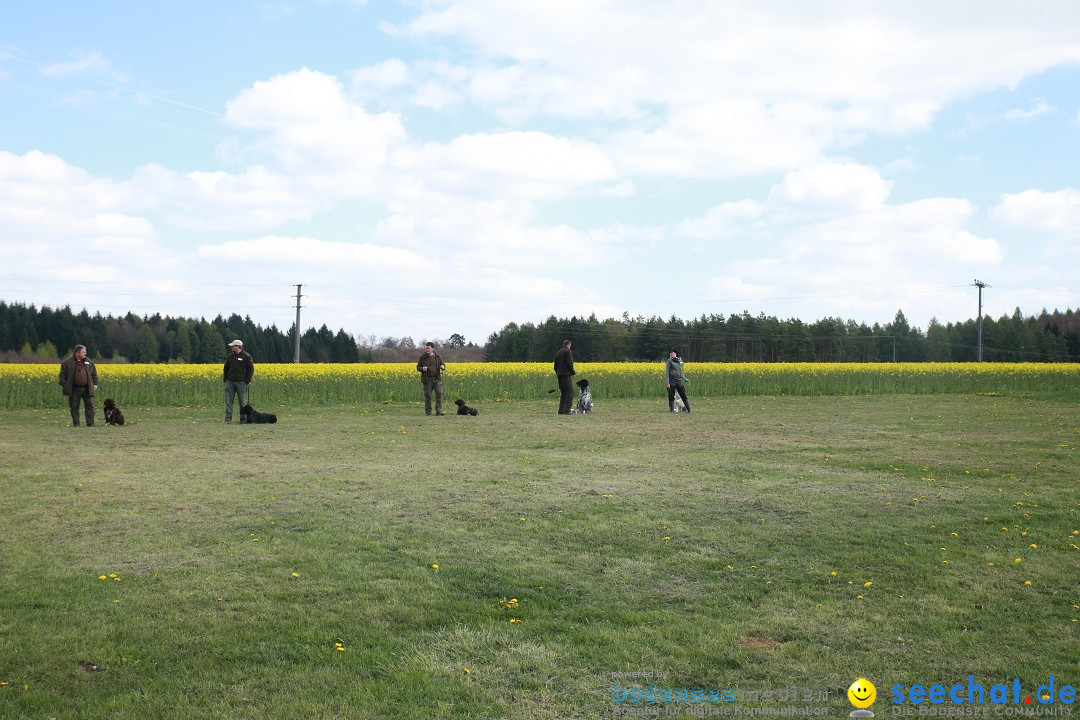 Jagdhundetag Dornsberg der Landesjagdschule: Eigeltingen, 23.04.2017