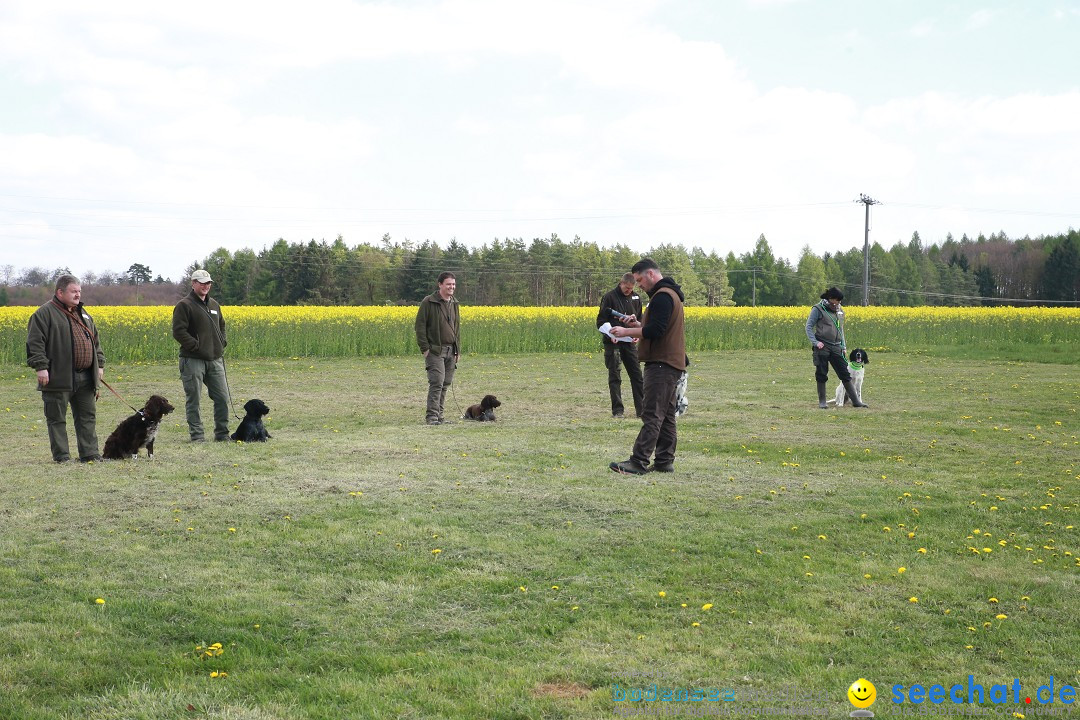 Jagdhundetag Dornsberg der Landesjagdschule: Eigeltingen, 23.04.2017