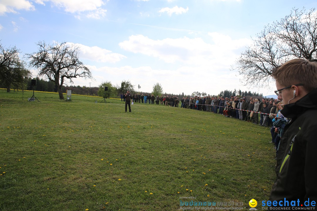 Jagdhundetag Dornsberg der Landesjagdschule: Eigeltingen, 23.04.2017