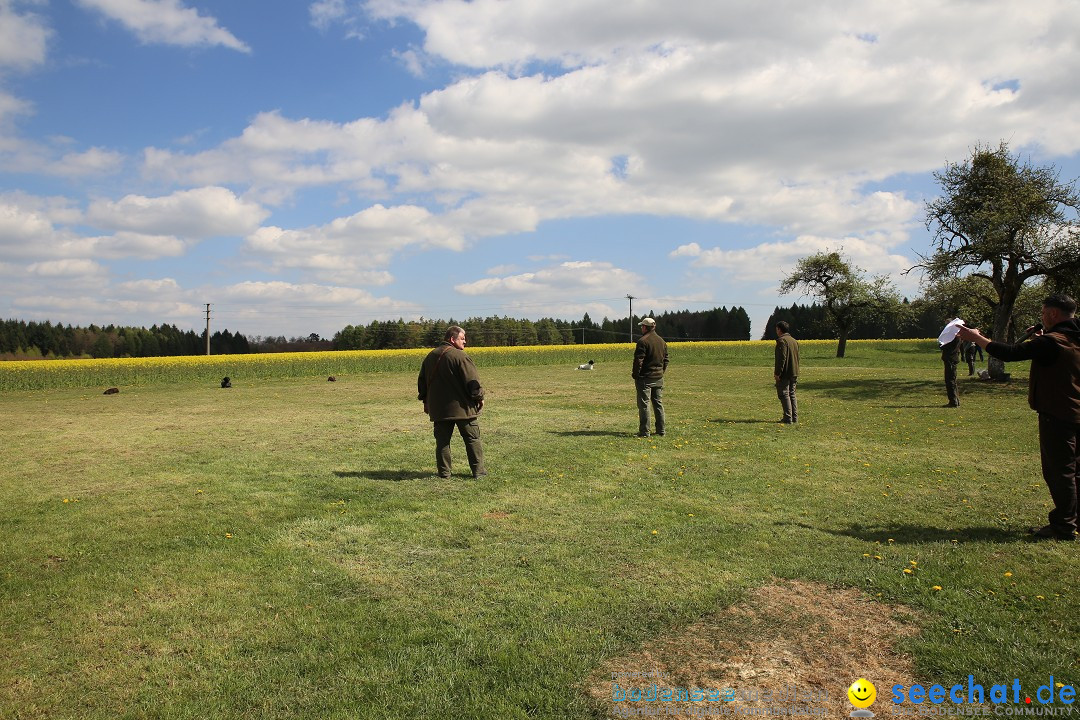 Jagdhundetag Dornsberg der Landesjagdschule: Eigeltingen, 23.04.2017