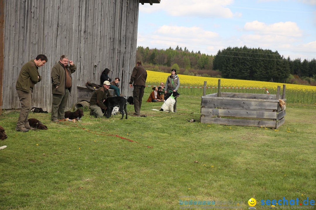 Jagdhundetag Dornsberg der Landesjagdschule: Eigeltingen, 23.04.2017