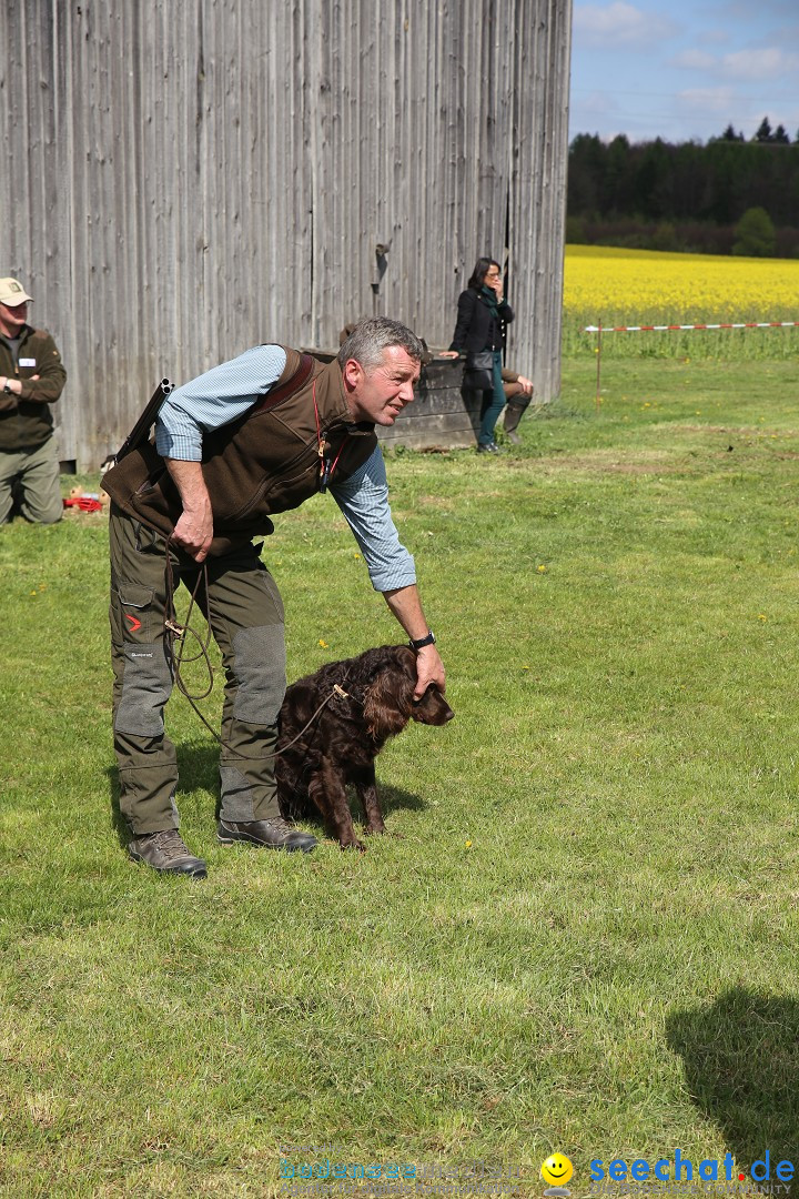 Jagdhundetag Dornsberg der Landesjagdschule: Eigeltingen, 23.04.2017