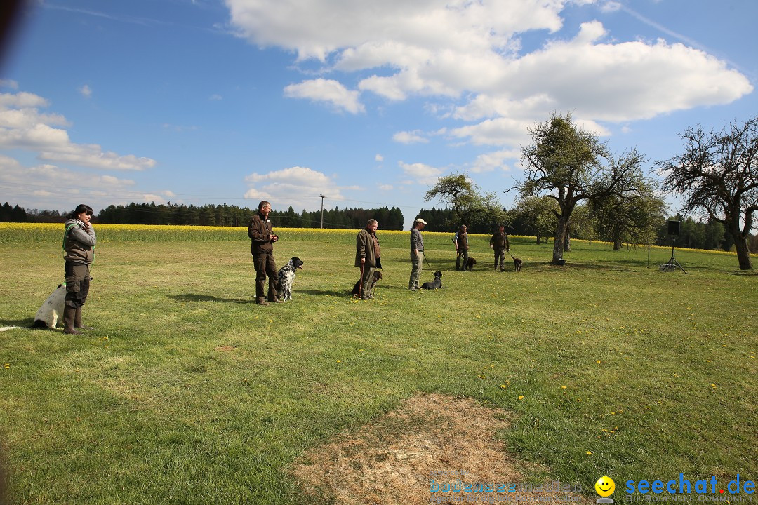 Jagdhundetag Dornsberg der Landesjagdschule: Eigeltingen, 23.04.2017