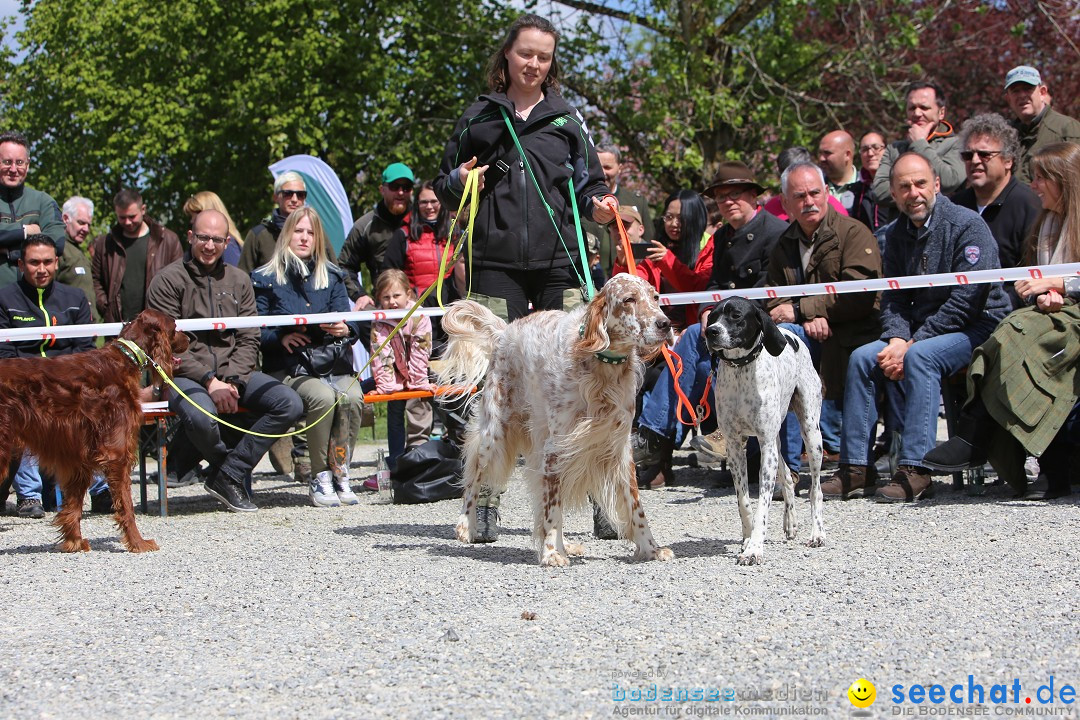 Jagdhundetag Dornsberg der Landesjagdschule: Eigeltingen, 23.04.2017