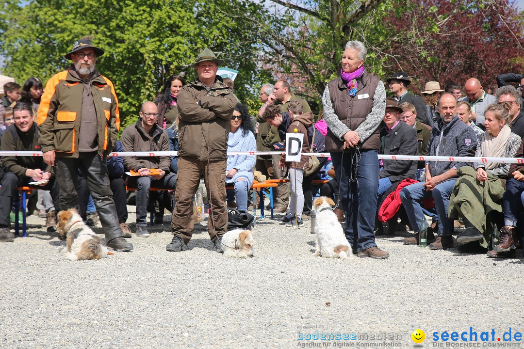 Jagdhundetag Dornsberg der Landesjagdschule: Eigeltingen, 23.04.2017