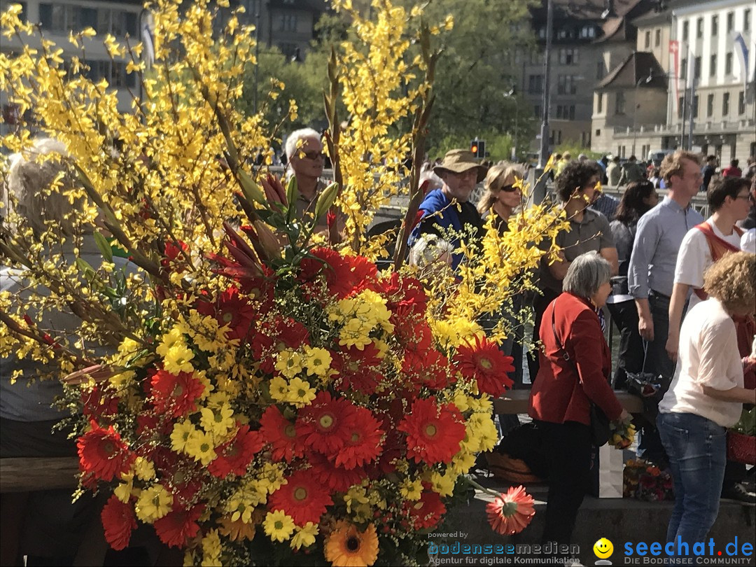 Sechsel_uten-2017-04-24-Zuerich-Bodensee_Community-seechat_DE-IMG_4183