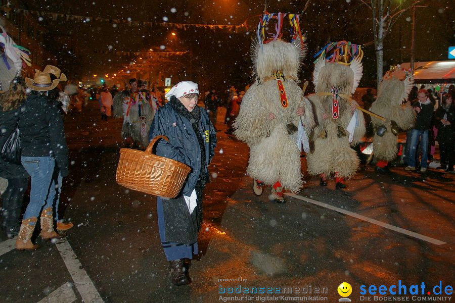 Narrenumzug: Singen, 29.01.2010