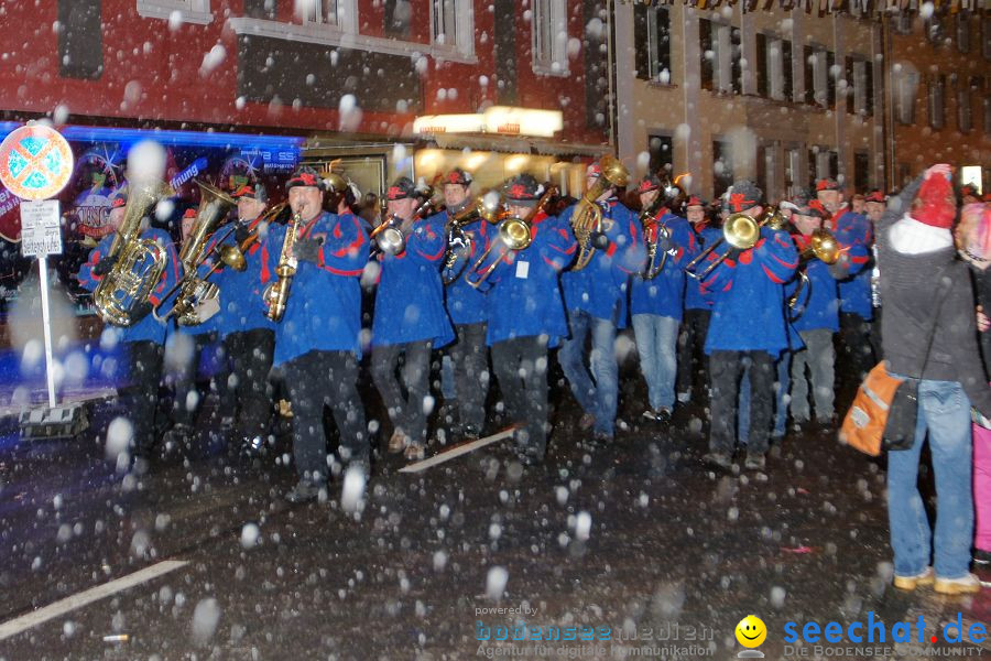 Narrenumzug: Singen, 29.01.2010