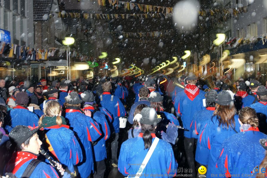 Narrenumzug: Singen, 29.01.2010