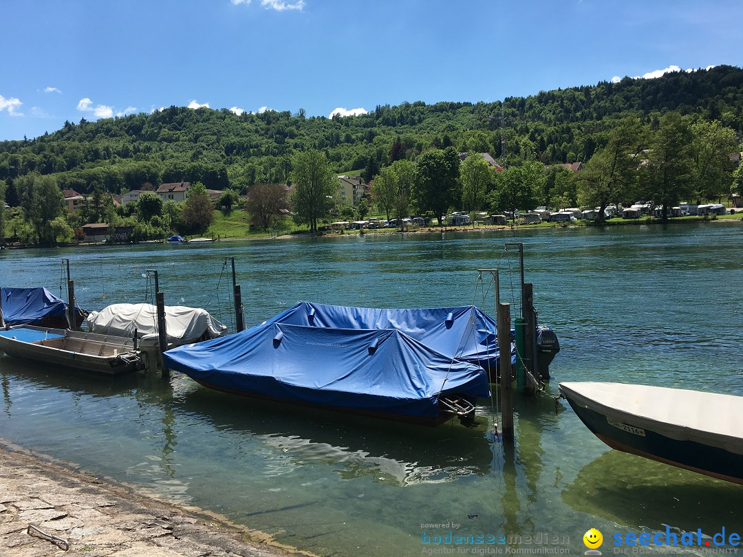 SlowUp Hegau-Schaffhausen, TEAM seechat.de Bodensee-Community, 21.05.17