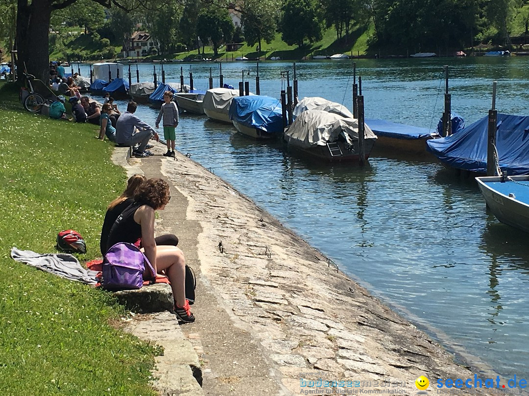 SlowUp Hegau-Schaffhausen, TEAM seechat.de Bodensee-Community, 21.05.17