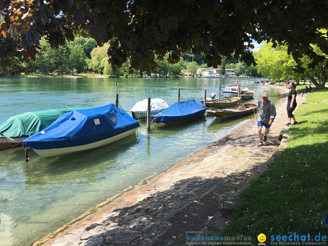 SlowUp Hegau-Schaffhausen, TEAM seechat.de Bodensee-Community, 21.05.17