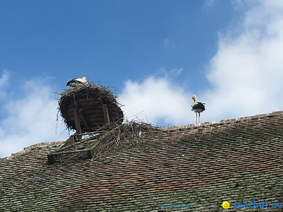 Mittelaltermarkt: Uhldingen am Bodensee, 25.05.2017