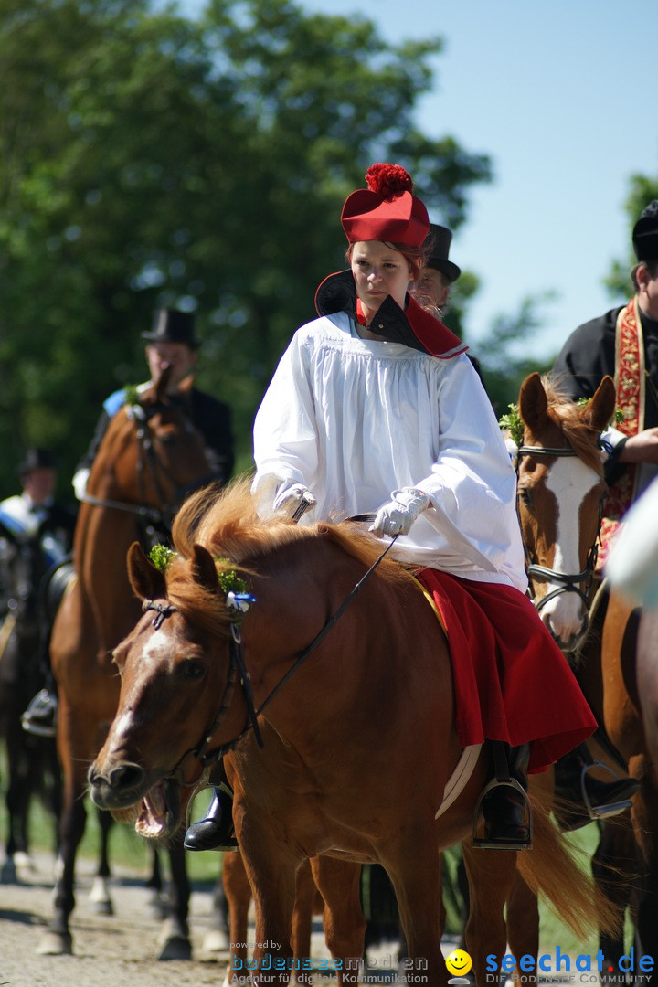 Blutritt: Heilig-Blut-Reliquie: Weingarten am Bodensee, 26.05.2017