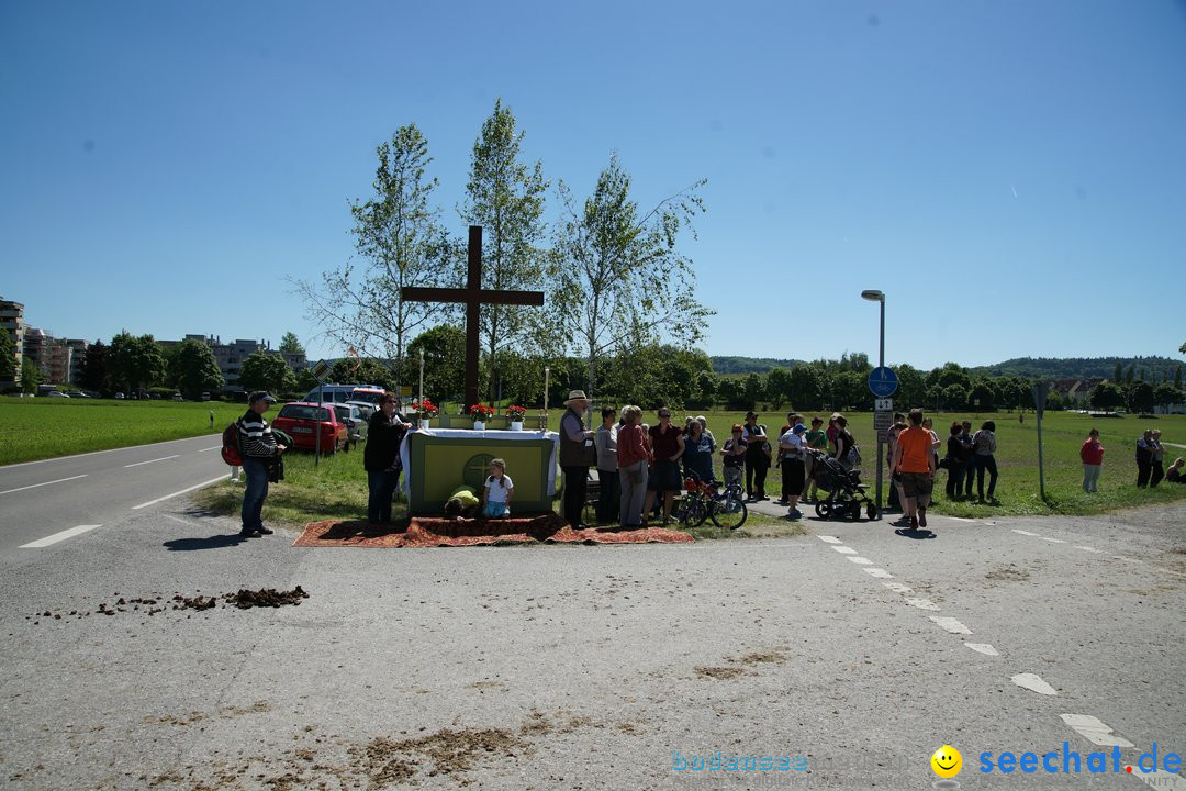 Blutritt: Heilig-Blut-Reliquie: Weingarten am Bodensee, 26.05.2017