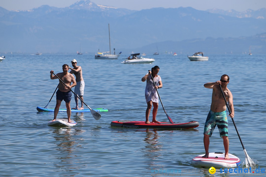 Picknick am Bodensee - Strandbad Friedrichshafen: SUP und Kino, 27.05.2017