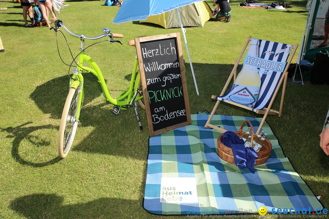 Picknick am Bodensee - Strandbad Friedrichshafen: SUP und Kino, 27.05.2017